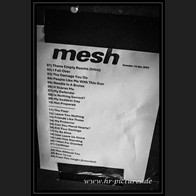 20241214_Mesh_031