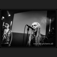 20250315_EOnly_CatRapesDog_045