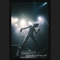 202500529_AuxAnimaux_071