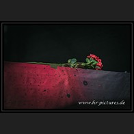 20250628_BLC_Dunkelsucht_01