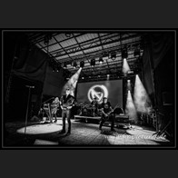 20250905_MenWithoutHats612