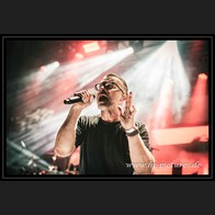 20250907_Camouflage_55