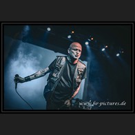 20251227_EDA_Leaetherstrip_16