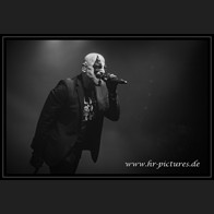 20260110_Megaherz_29