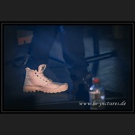 20260130_BDN_Melotron_001