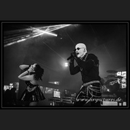 20260417_DMF_Dark_09