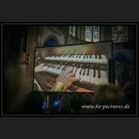 20260523_WGT_StarlightsLive_023