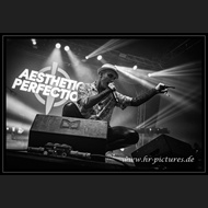 20260525_WGT_AestheticPerfection_026