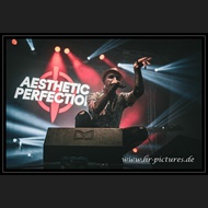20260525_WGT_AestheticPerfection_028