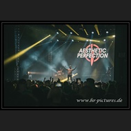 20260525_WGT_AestheticPerfection_039