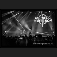 20260525_WGT_AestheticPerfection_040