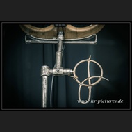 20260717_Sieben_JoQuail_26