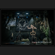 20260717_Sieben_JoQuail_29