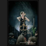 20260717_Sieben_JoQuail_36