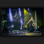 20260717_Sieben_JoQuail_41
