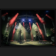 20260717_Sieben_JoQuail_50