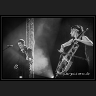 20260717_Sieben_JoQuail_52