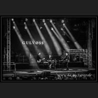 2026087_Gulvoss_55