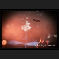 2026087_Gulvoss_65