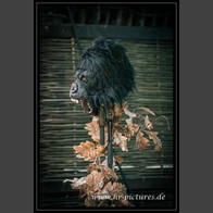 20260905_NCN_LesChasseursDeLaNuit_002